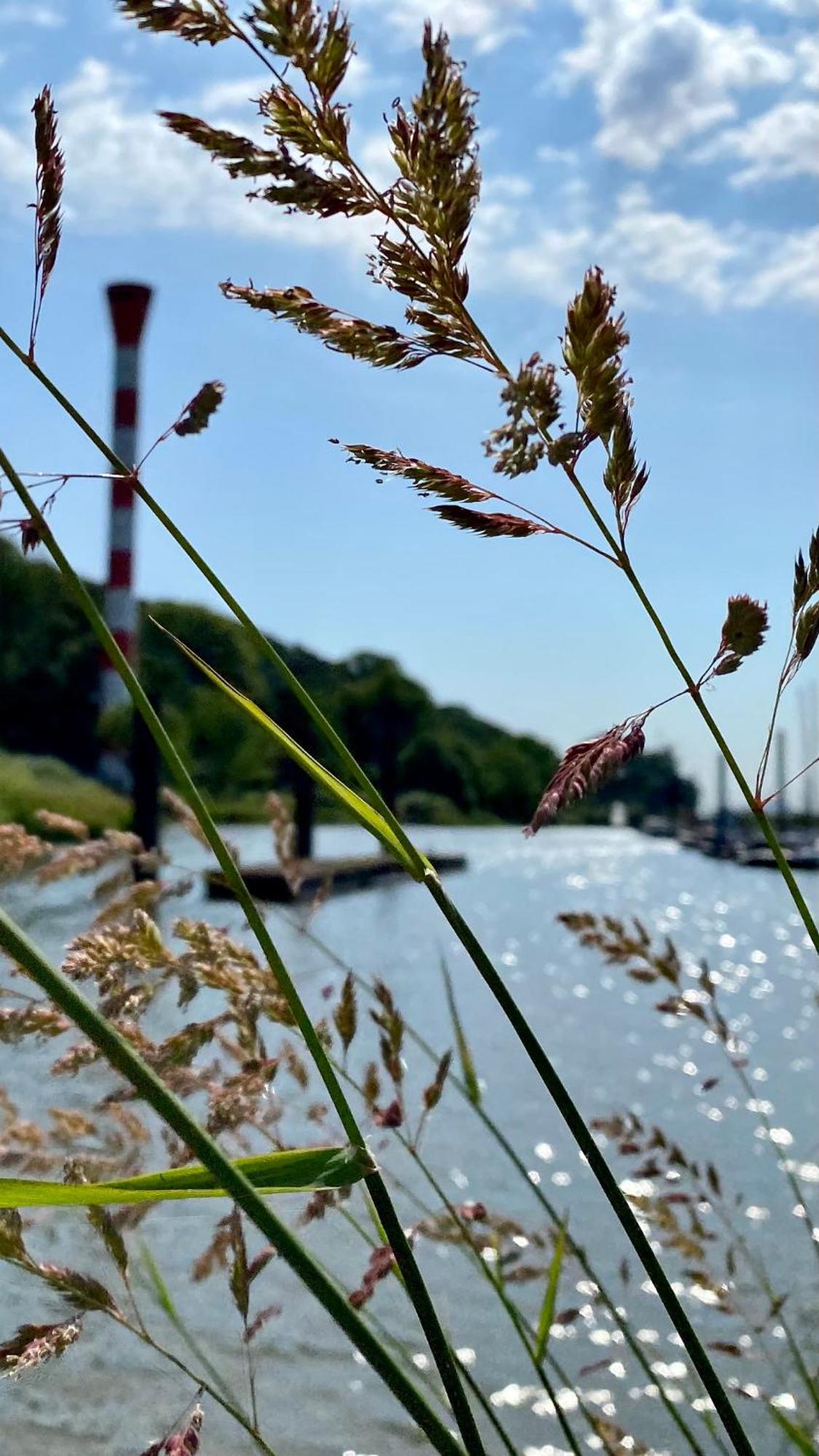 Fischerhaus Blankenese Hamburg Dış mekan fotoğraf