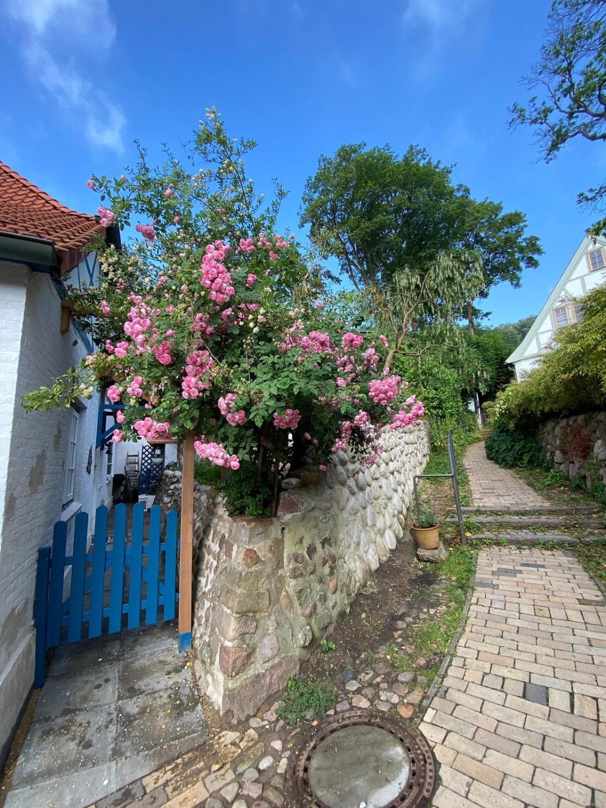 Fischerhaus Blankenese Hamburg Dış mekan fotoğraf